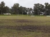 PATCHY: The state of McPherson Oval on Tuesday. Picture: Madeline Begley