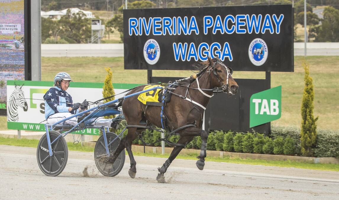 BIG PERFORMANCE: Blazing Banner sets a new two-year-old track record at Riverina Paceway on Tuesday night. Picture: Ash Smith