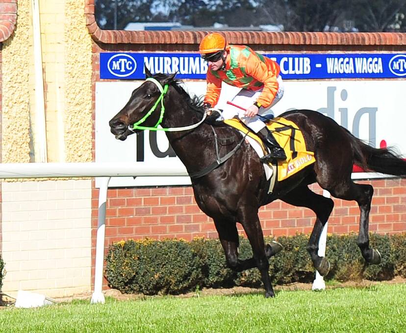 NOble Descent winning at Wagga back in 2015.