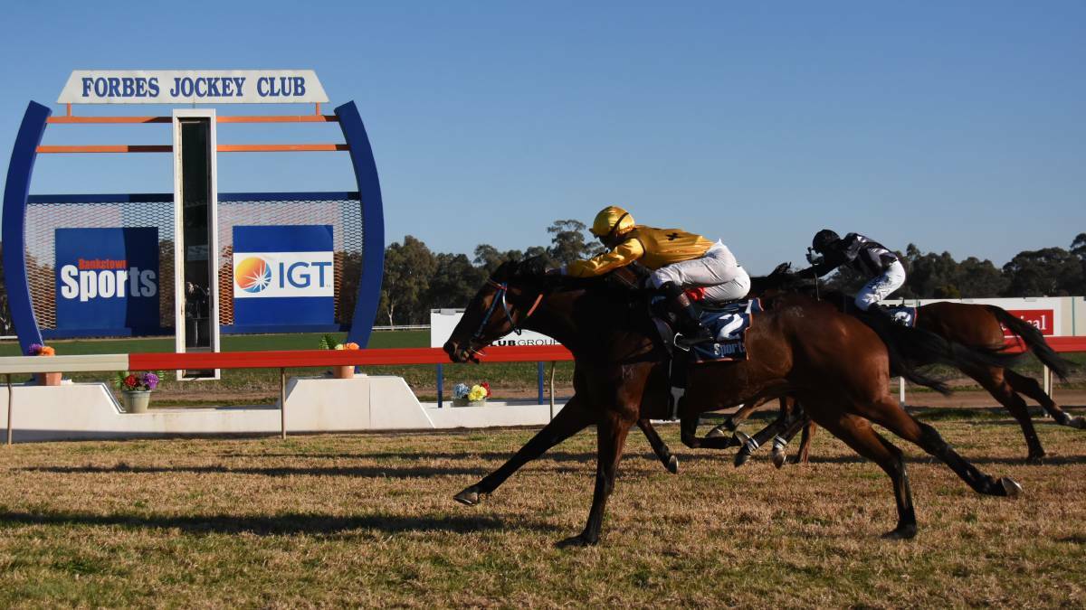 Real Key winning on Forbes Cup day last year. Picture: Forbes Advocate