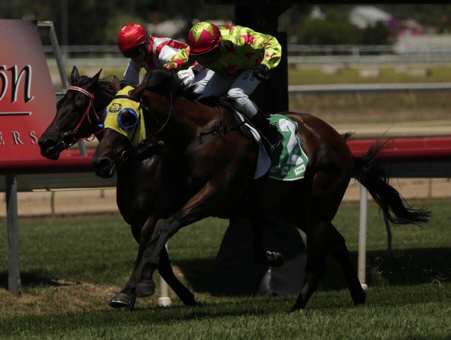 STRONG: Demanding Mo powers to victory at Wagga on December 24, with Jeff Penza in the saddle. He will be looking to get back in the winner's stall on Tuesday. Pictures: Matt Malone