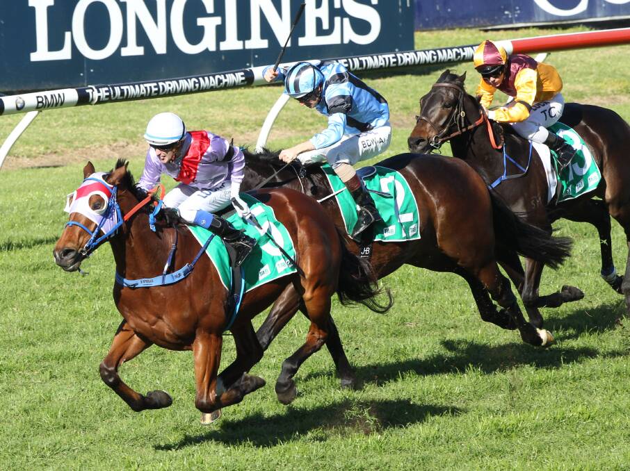 CUP BOUND: Itsa Fait Accompli, pictured winning at Rosehill, is nominated for Sunday's Narrandera Cup.