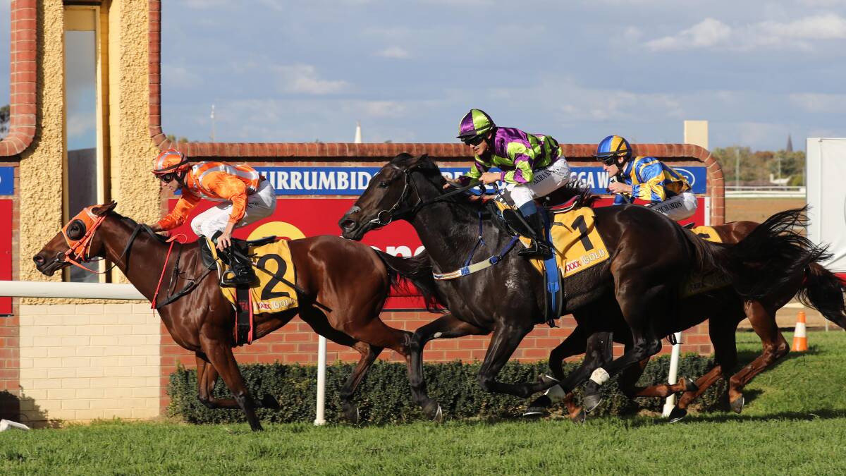 NOMINATED: Levee Bank wins at Wagga on Gold Cup day. She is nominated for Wagga on Friday. Picture: Les Smith