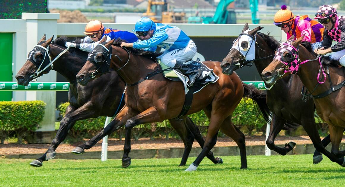 LEADING CONTENDER: Albury trainer Mitch Beer has high hopes for Scout, (light blue) pictured winning in Brisbane, at Murrumbidgee Turf Club on Tuesday. Picture: Racing Queensland