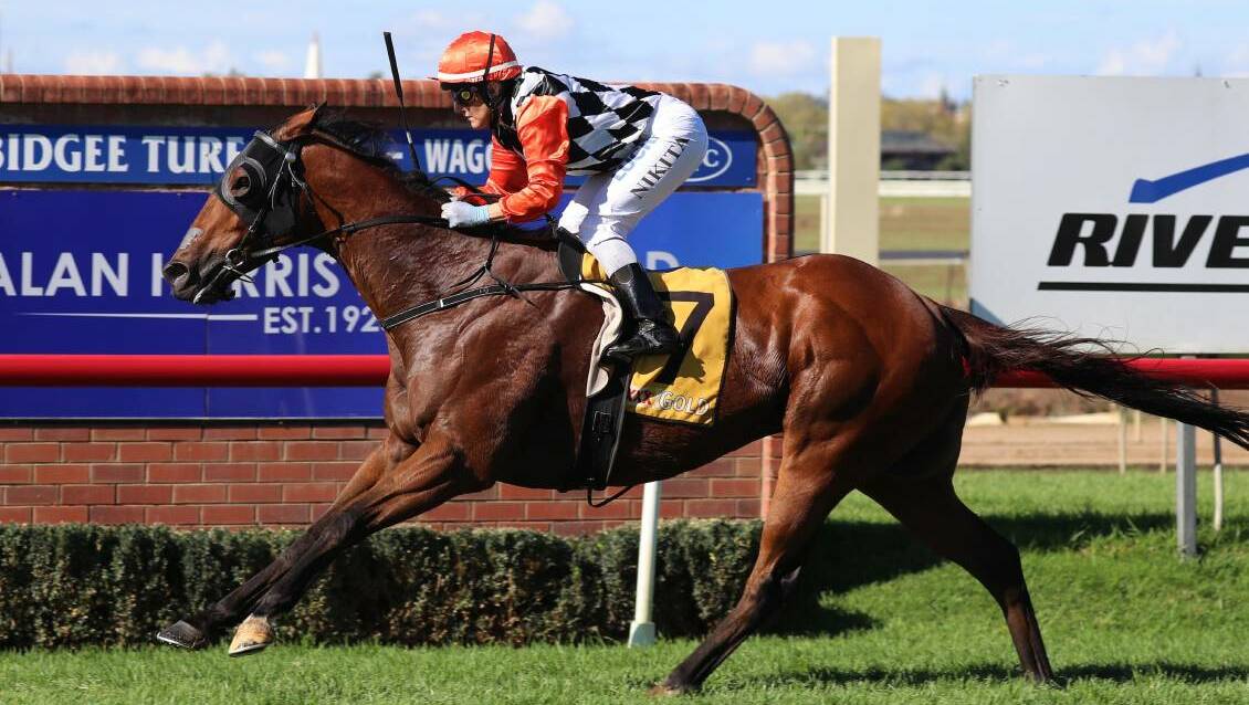 CHANCE: Nevada Dane winning at the Wagga Gold Cup carnival. 