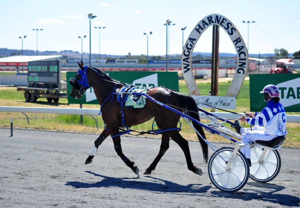 JOB DONE: Ellen Bartley returns after guiding Ellen Louise to victory at Wagga on Friday. Picture: Chelsea Sutton