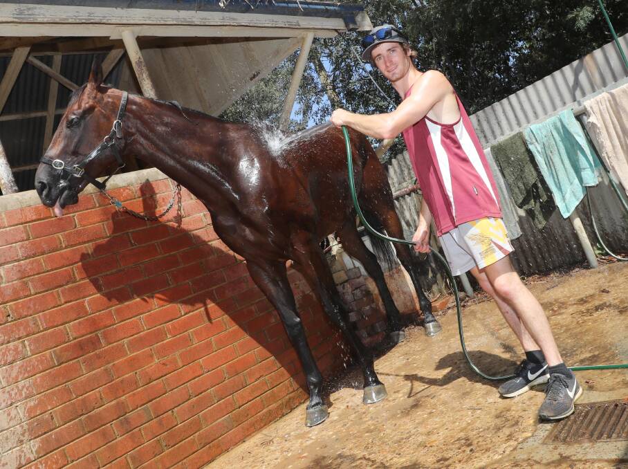 BACK WHERE IT BEGAN: Apprentice jockey Josh Richards hoses down Cryfowl at Scott Spackman's stable at Wagga on Wednesday. Picture: Les Smith