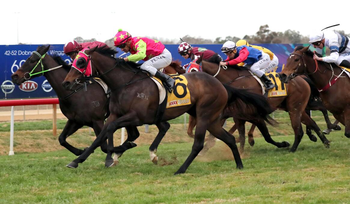 CLOSE CALL: Dolly's Due (outside) closes in on Up Trumpz close to the line in the Ian Reid Sprint (1200m) at Wagga on Thursday. Picture: Les Smith