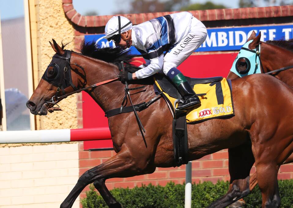JOB DONE: Spunlago, pictured winning at Wagga in 2018 with Mathew Cahill in the saddle, has been retired after a stellar career. Picture: Emma Hillier
