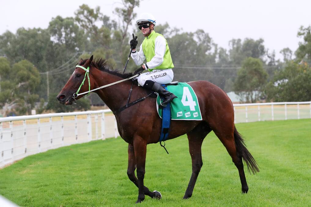 BACK IN ACTION: Mahsinger will resume from a brief freshen up at Gundagai on Monday. 