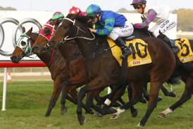 HOME SHE GOES: Kayla Nisbet guides Nights On Fire to victory in the last race on Wagga Gold Cup at Murrumbidgee Turf Club. Picture: Les Smith