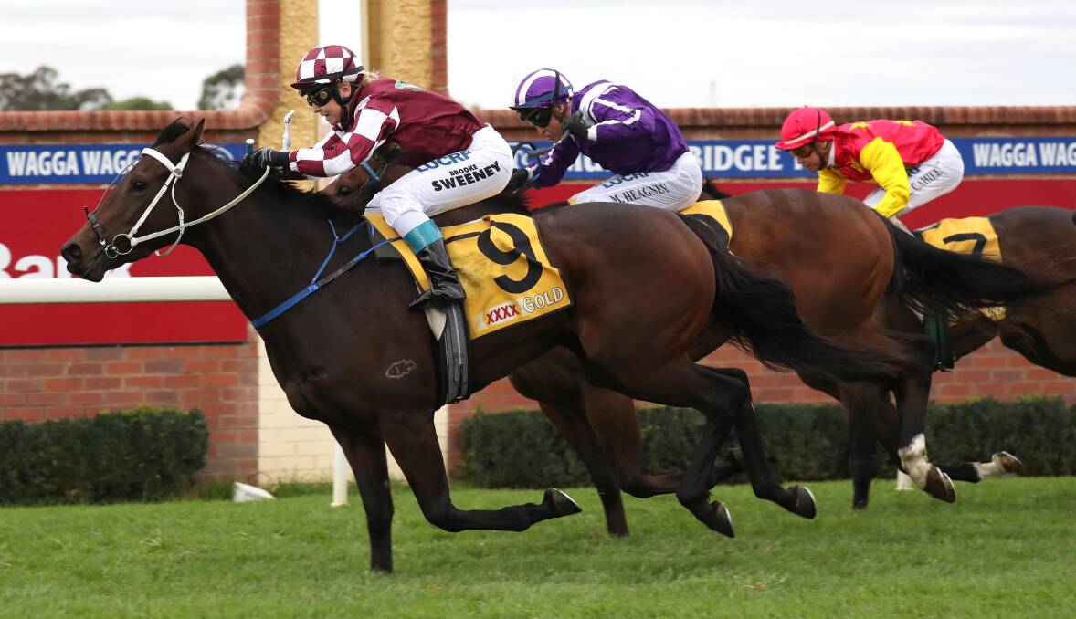 LAST SUCCESS: Takookacod winning the Wagga Town Plate Prelude (1200m) in April last year. That was her last win heading into Tuesday's Ted Ryder Cup Prelude (1600m). Picture: Les Smith