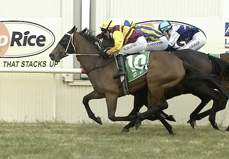 JUST GOT THERE: Queen Street Boss arrives down the outside just in time to score a maiden win at Leeton on Monday.