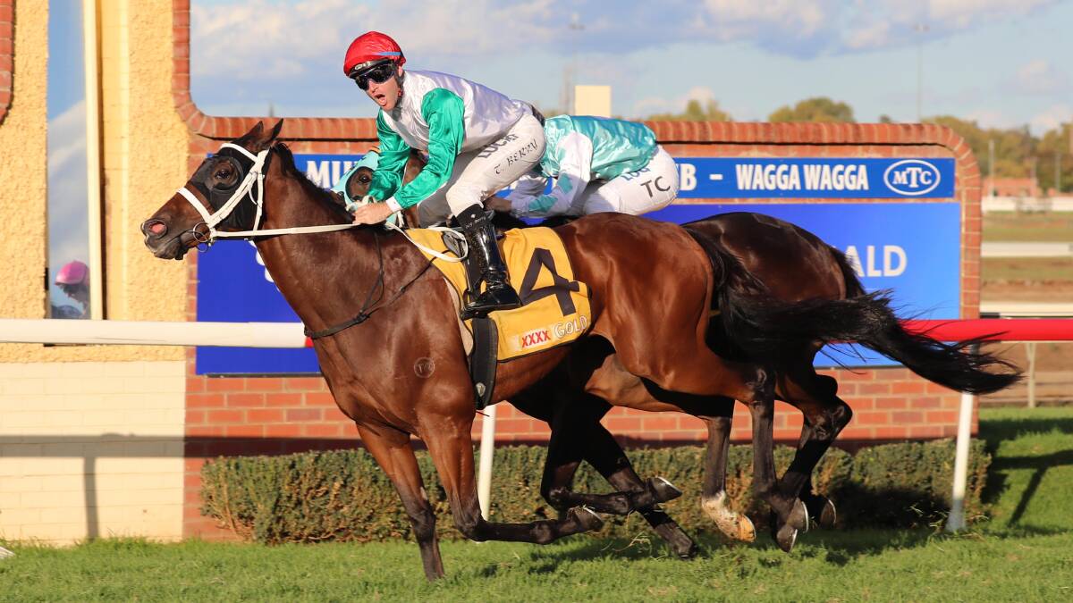 Tommy Berry wins the Wagga Gold Cup aboard Abdon last year. Picture: Les Smith