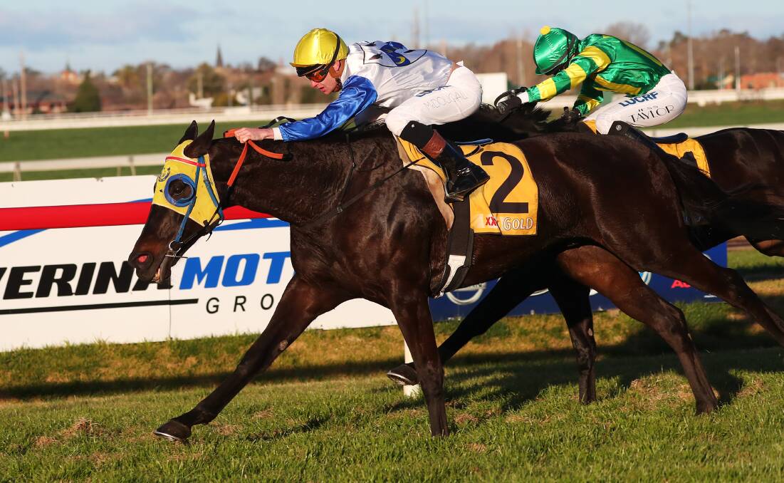 Gentleman Max enjoyed the 15th win of his career at Albury on Monday.