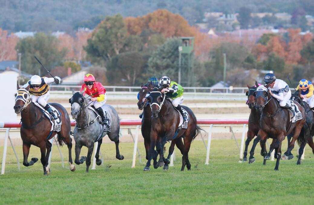 Inverloch holds off Yonkers, Spirit Ridge and Paths Of Glory in the Wagga Gold Cup.