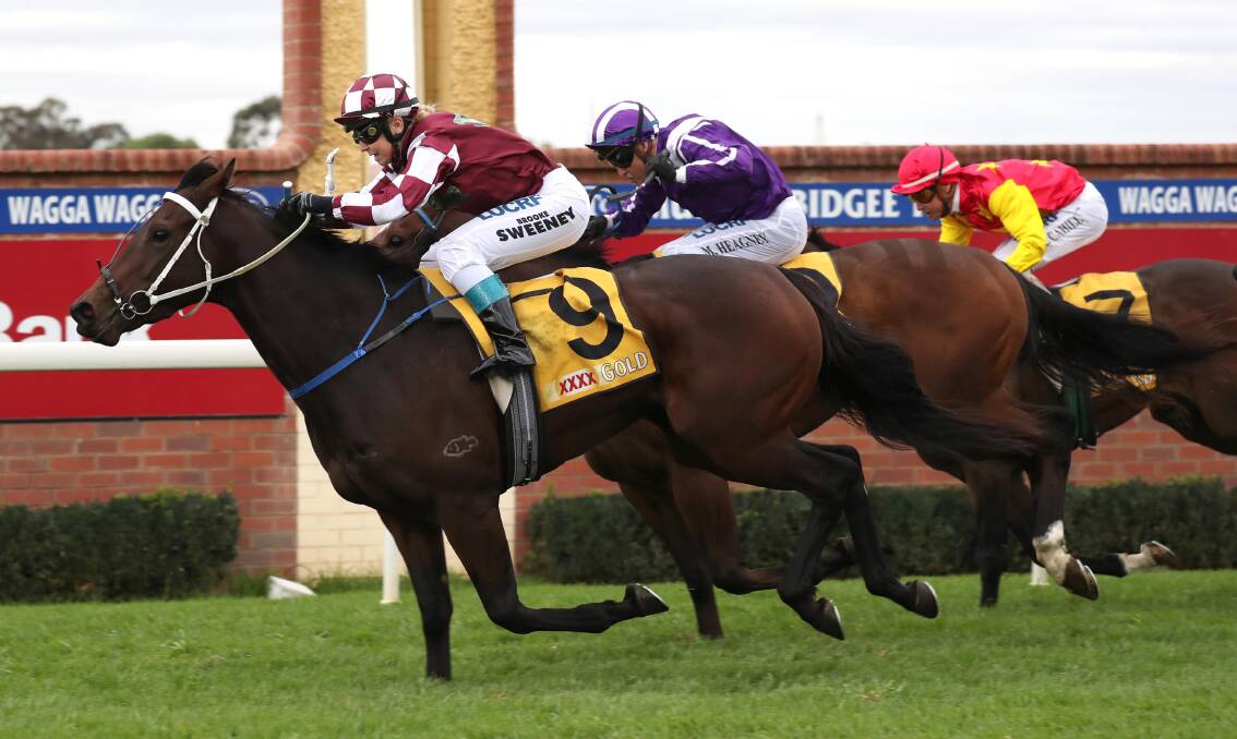 Takookacod, with Brooke Sweeney in the saddle, takes out the Wagga Town Plate Prelude (1200m).