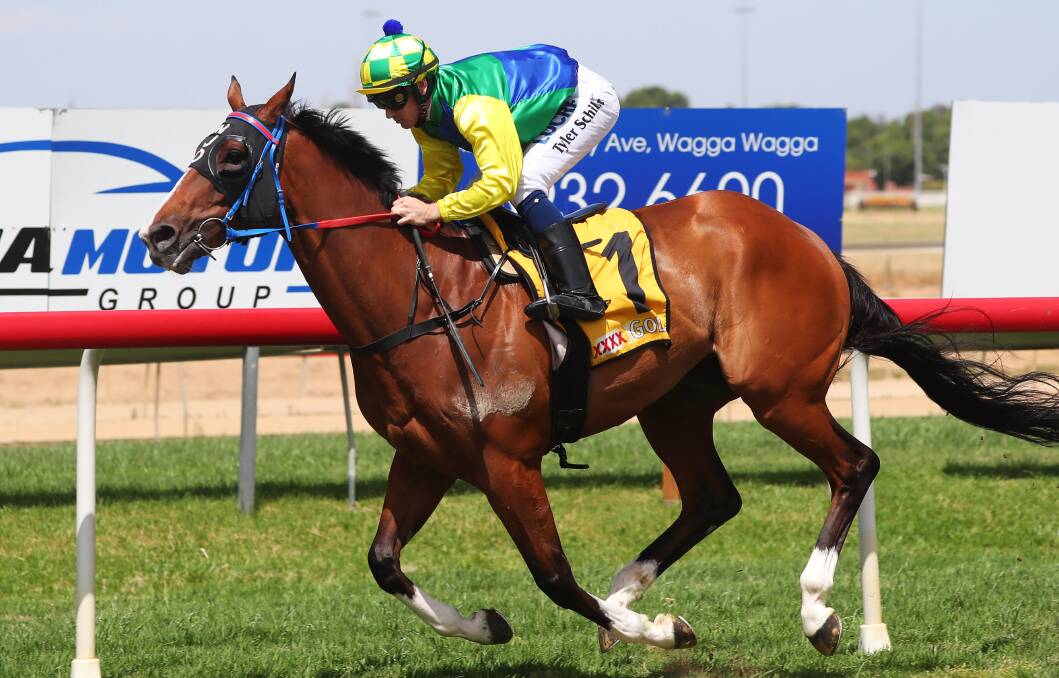 GOING STRONG: Tyler Schiller guides Supreme Polarity to victory at Wagga last start. Picture: Emma Hillier