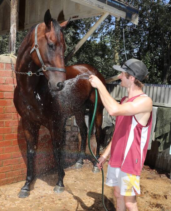 BACK AGAIN: Wagga apprentice jockey Josh Richards with Cryfowl, who will bid for back-to-back Harden Picnic Cups on Saturday. Richards has six rides at Albury. Picture: Les Smith