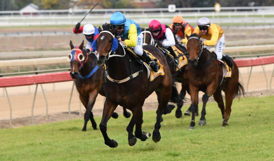FOUR IN A ROW: Gypsy Miss, with Tyler Schiller in the saddle, races away for a dominant victory at Murrumbidgee Turf Club on Saturday.