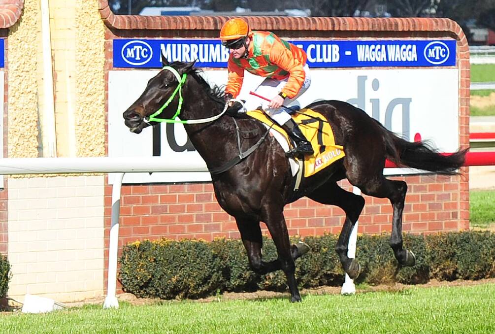 HARD TO BEAT: The Gary Colvin-trained Noble Descent will be hard to beat at Murrumbidgee Turf Club on Monday. 