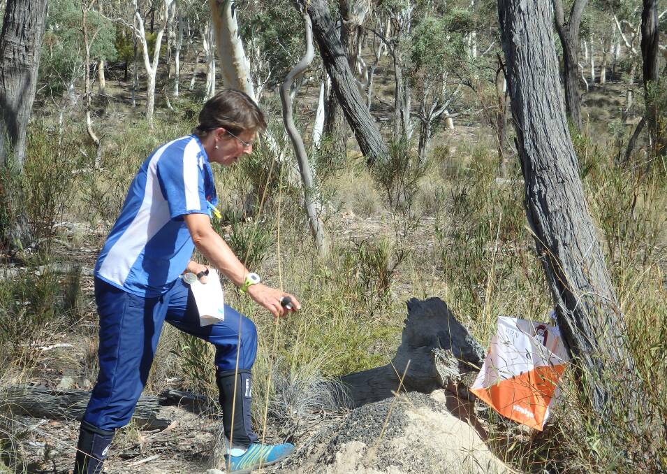 TOP EFFORT: WaggaRoos' Deb Davey came third in the sprint and long distance events at the recent Australian Orienteering Championships.