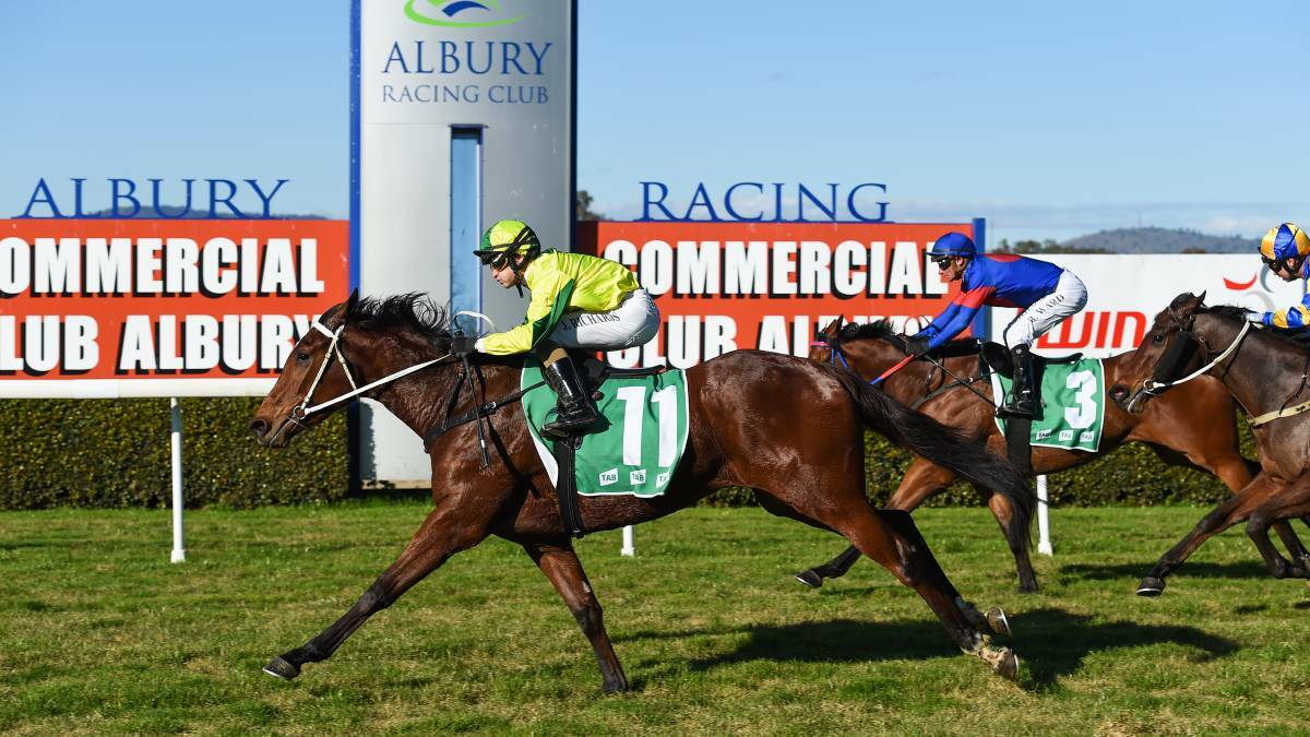 SHE'S IN: Albury mare Sunrise Ruby is the first Southern District horse into the Kosciuszko. 