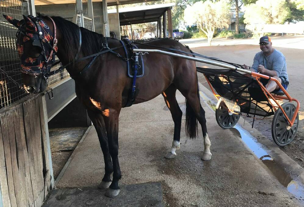 ON THE MOVE: Wagga breeder and owner Troy Saddler with Whereyabinboppin, who has won five of his eight starts.