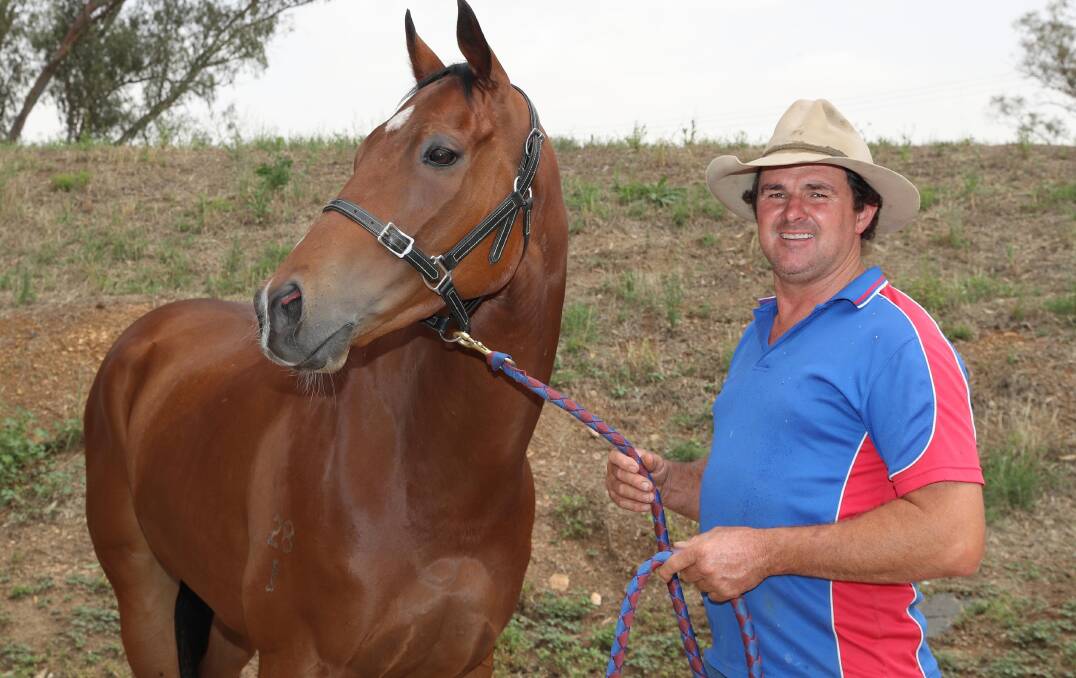 ON TOP: Wagga trainer Trevor Sutherland with grand campaigner Benno's Boy. Picture: Les Smith