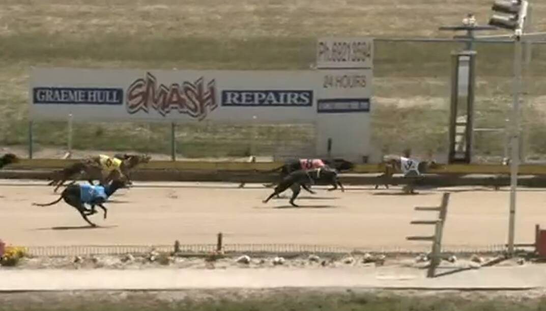 FIGHTING VICTORY: Little Jeaney takes out last week's heat at Wagga.