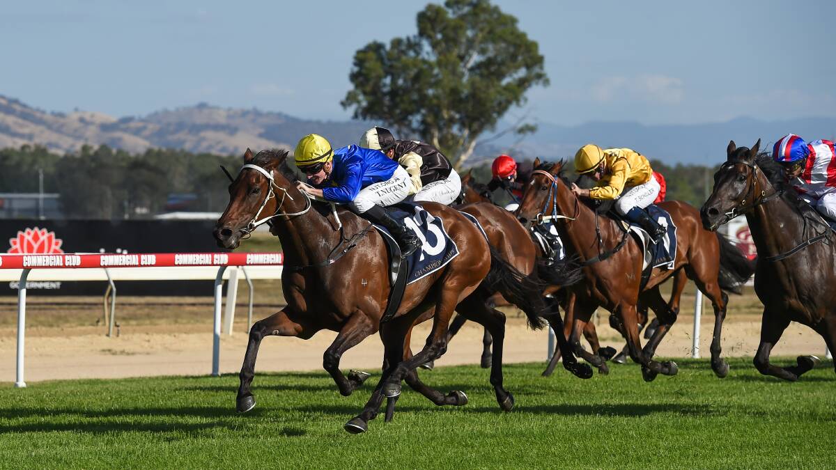 IN FORM: Sky Call races to victory in the SDRA Country Championships Qualifier at Albury in February. Picture: The Border Mail