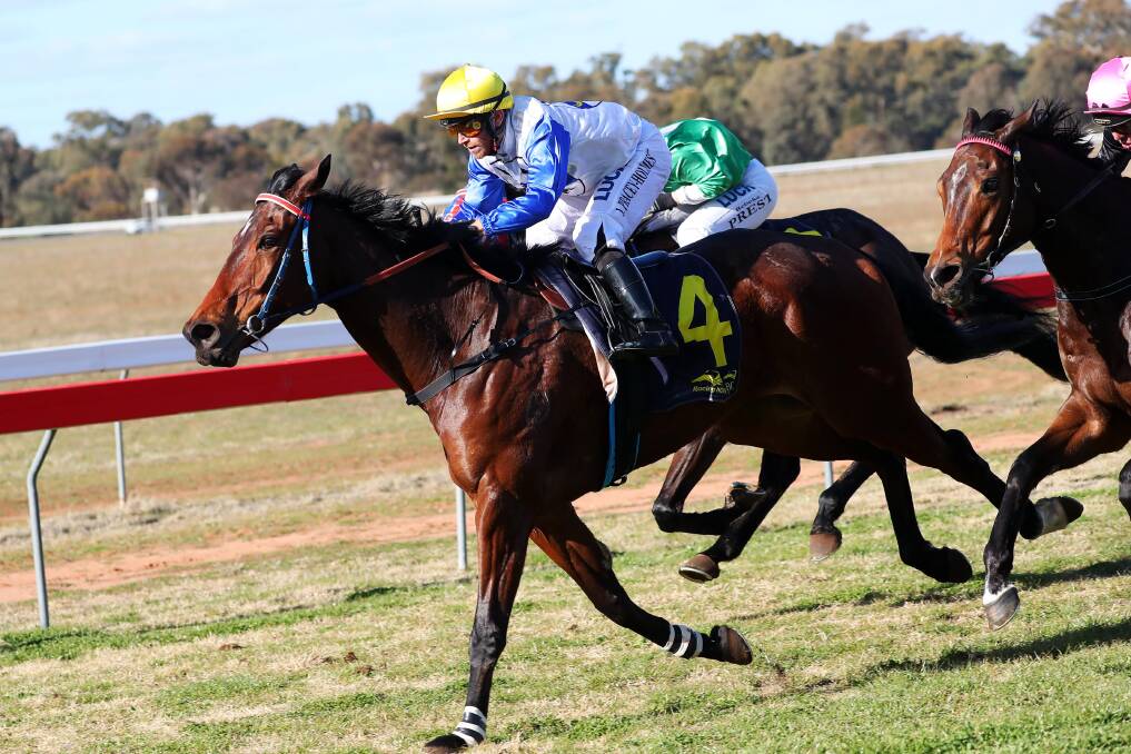TOP CHANCE: Sir Ottavio, pictured winning last start at Narrandera, is the horse to beat in the Riverina Cup (3800m), according to The Daily Advertiser's Matt Malone.