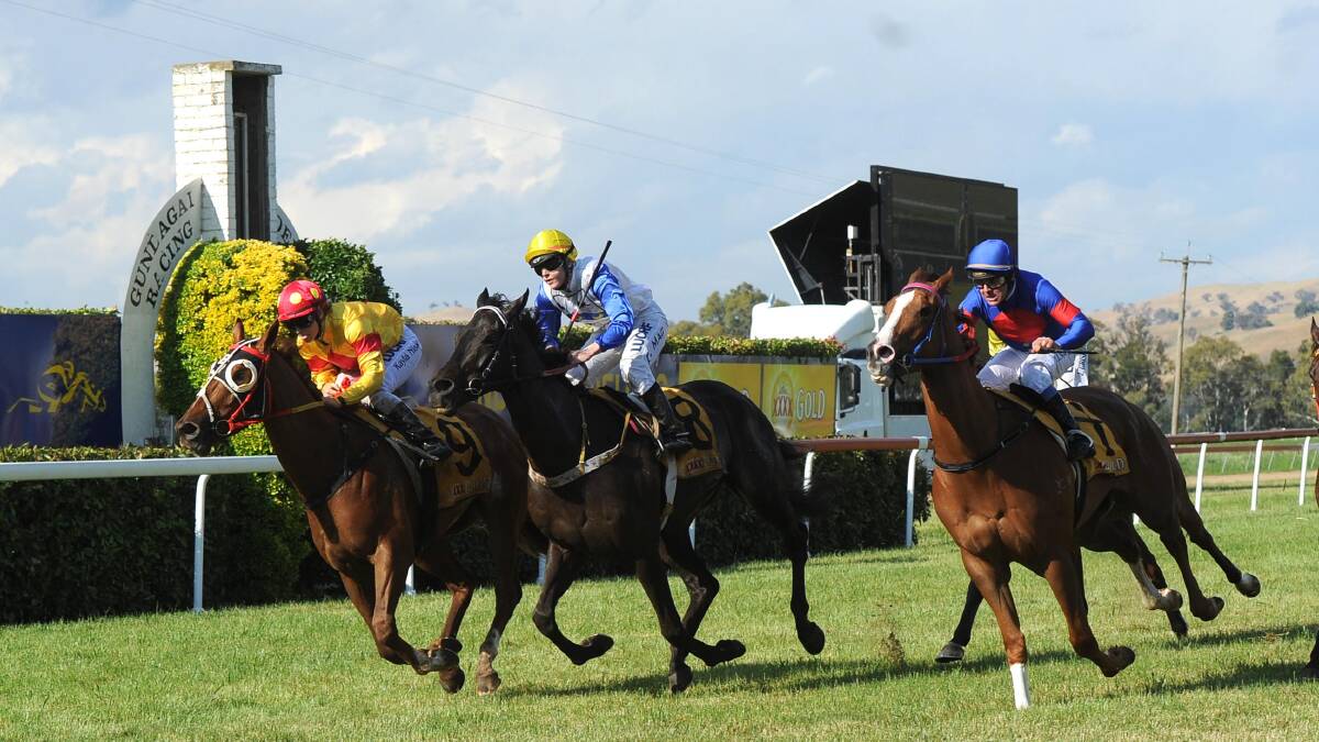 Gentleman Mix (middle) fights out the finish to the 2017 Snake Gully Cup.