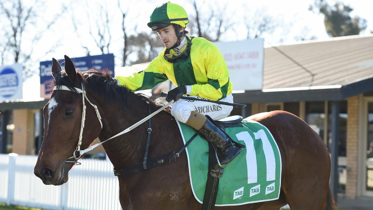 CASE CLOSED: Sunrise Ruby, pictured with Josh Richards in the saddle at Albury, ran second at Randwick on Wednesday. Picture: The Border Mail