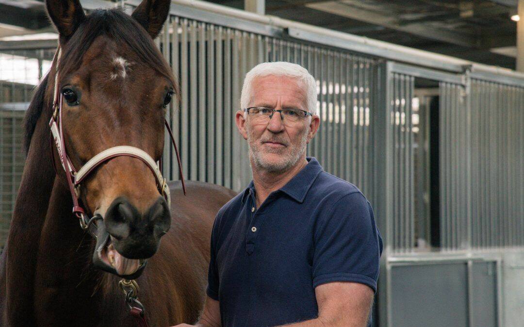 BUILDING HIS STABLE: Wangaratta trainer Andrew Dale will take a team of 13 horses to the Albury race meeting on Friday.