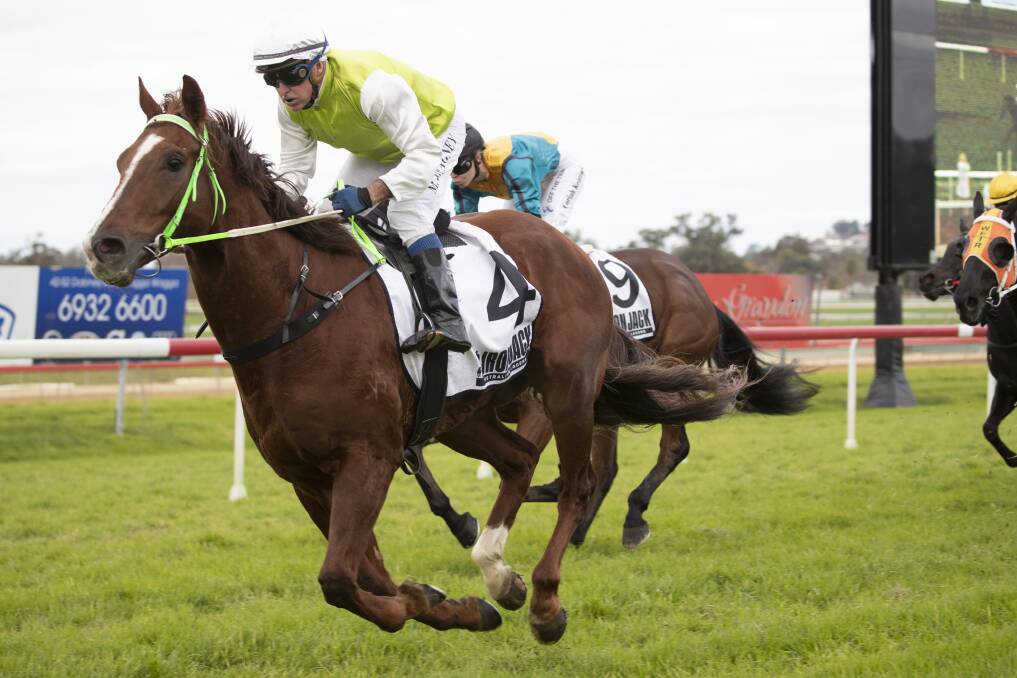RIGHT AT HOME: Bonvalante, with Michael Heagney in the saddle, storms to victory at Murrumbidgee Turf Club on Tuesday. Picture: Madeline Begley