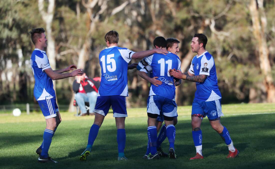 HAPPY DAYS: Tolland celebrate an early goal to Jaiden Watson against Lake Albert at Rawlings Park on Sunday. Picture: Emma Hillier