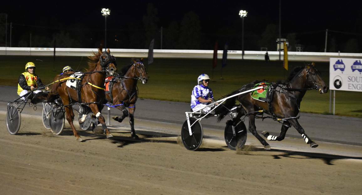 TOUGH ASK: The Tiger Army, pictured winning her Breeders Plate heat, has drawn gate nine for Friday night's final. Picture: Courtney Rees