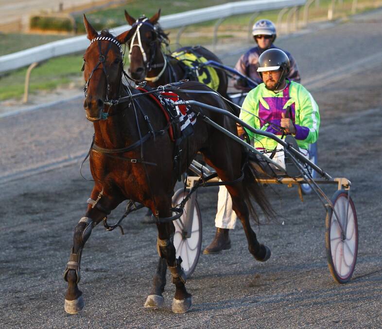 BIG CHANCE: Wagga trainer-driver Brett Hogan, pictured behind Alwaysuptomischief, has high hopes for Roll On The Beach at Albury on Friday night. Picture: Les Smith