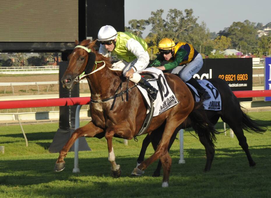 JOB DONE: Adrian Layt guides Sizzling Cat to victory at Murrumbidgee Turf Club on Monday. Picture: Matt Malone