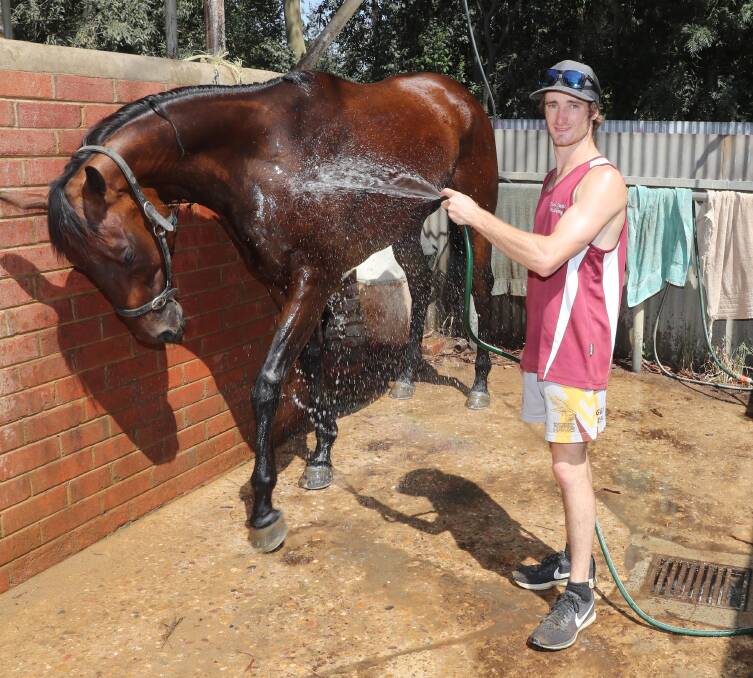 VALUE CHANCE: Cryfowl, with Josh Richards in the saddle, should give a big sight in the Australia Day Cup at Murrumbidgee Turf Club on Monday. Picture: Les Smith