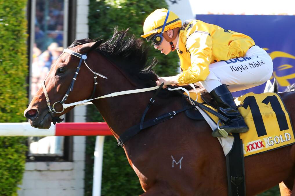 My Maher storms to victory in last year's Snake Gully Cup. Picture: Emma Hillier