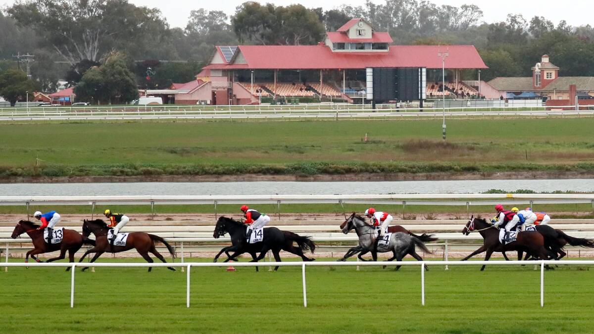 UNUSUAL SIGHT: The Wagga Gold Cup field compete last Friday to a virtually empty Murrumbidgee Turf Club. Picture: Les Smith