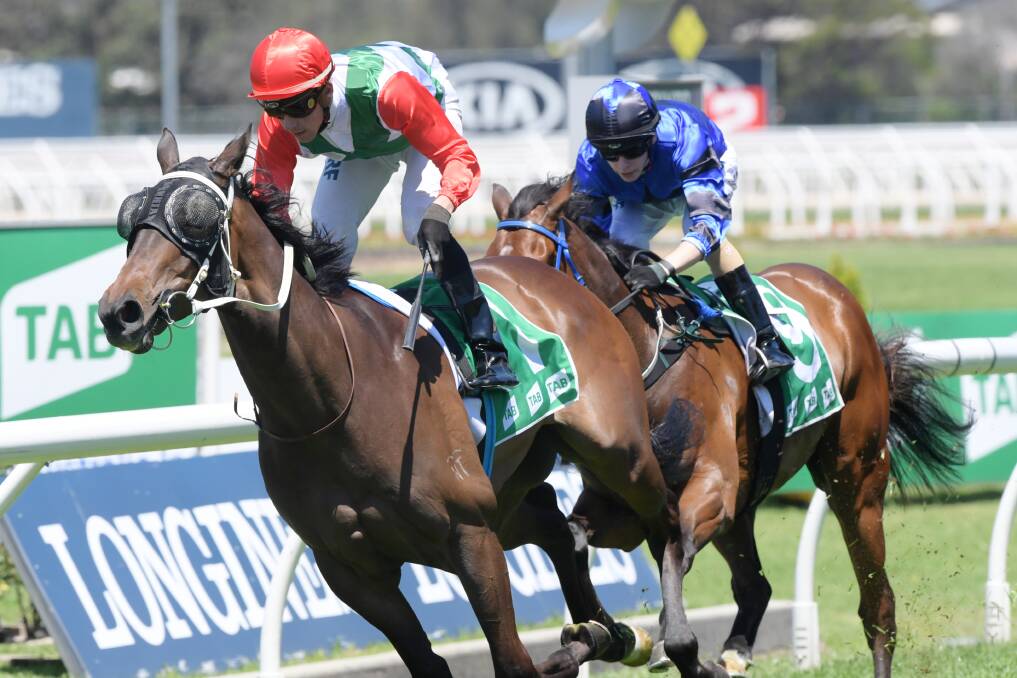 Handle The Truth has gone to the paddock after winning a Highway Handicap last start. Picture: AAP