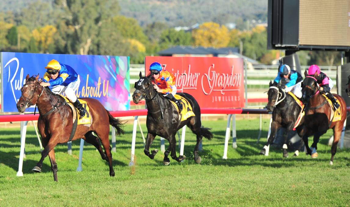 ALL OVER: Mark Pegus guides Santa Ana Lane to a dominant Wagga Town Plate win at Murrumbidgee Turf Club on Thursday. Pictures: Kieren L Tilly