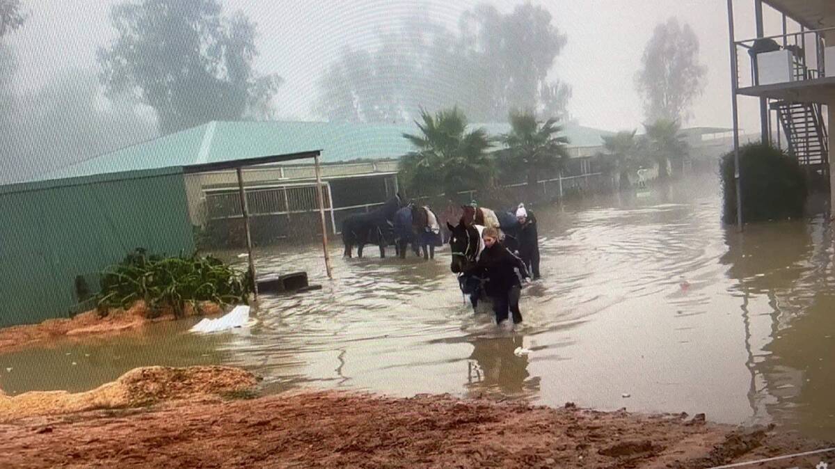 EVACUATION: Gary Colvin's team get the horses out of the stable as the flood waters arrived on Tuesday. Picture: Colvin Racing