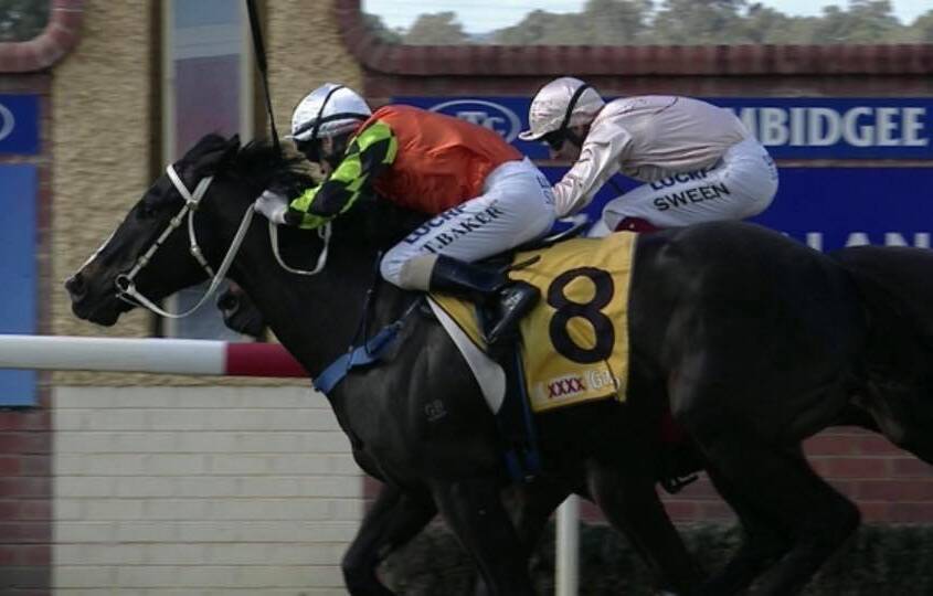 NICE DEBUT: Blue Jean Baby scores at Wagga on Thursday.