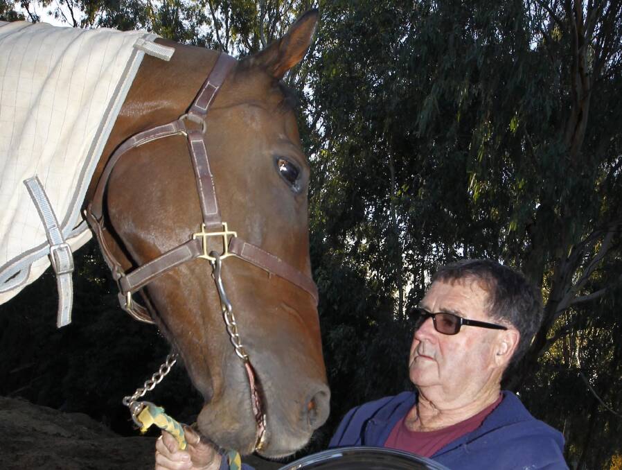 CLOSE BOND: Retired Wagga trainer Dave Heywood with Man Of Peace before he was purchased by the Matthew Dale stable. Picture: Les Smith