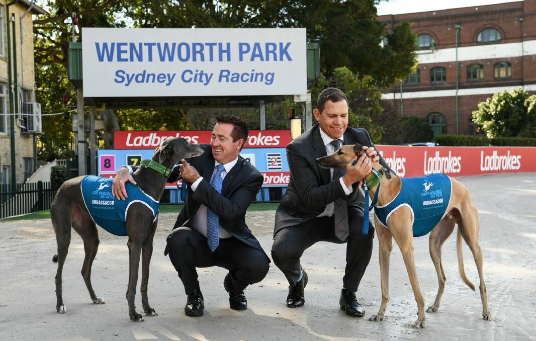 NSW minister for racing Paul Toole and Greyhound Racing NSW chief exectuive Tony Mestrov show their love for the greyhounds at Tuesday's announcement. Picture: Medianet