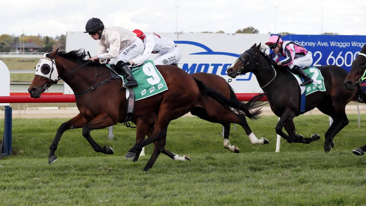 NEXT STEP: Dantain's Magic will step out for the first time since her Cup day triumph at Murrumbidgee Turf Club on Saturday. Picture: Les Smith